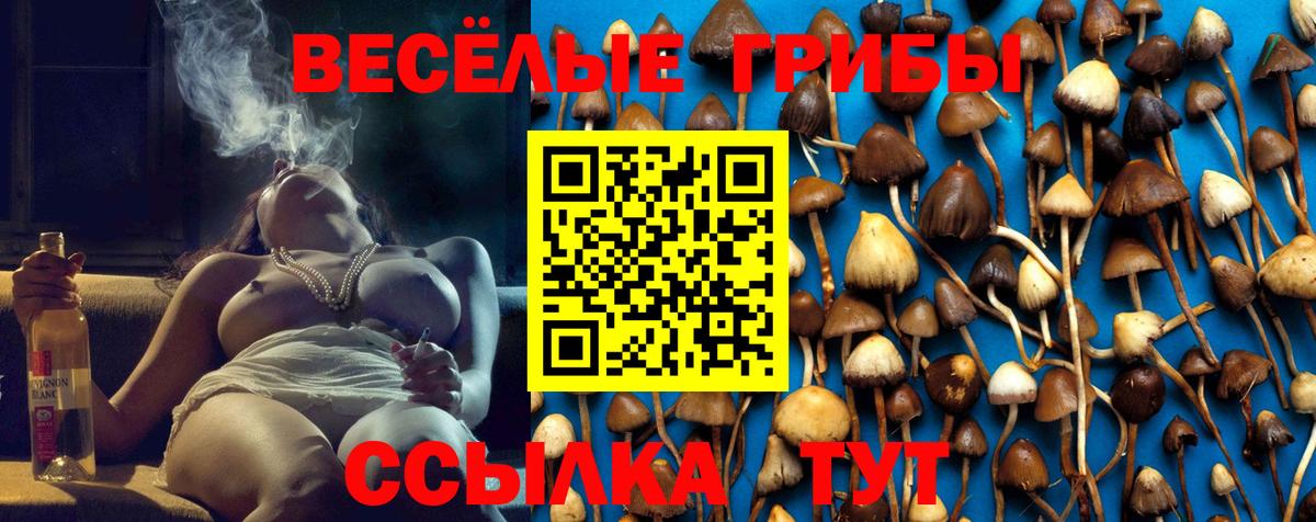 Галлюциногенные грибы мухоморы  Вход с VPN  Галлюциногенные грибы Cubensis  Луховицы 