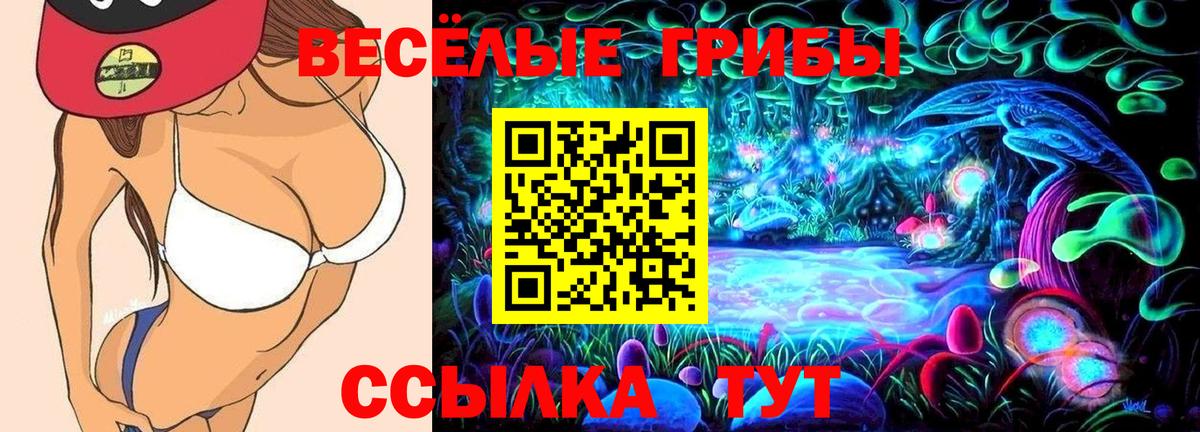 Галлюциногенные грибы ЛСД Луховицы